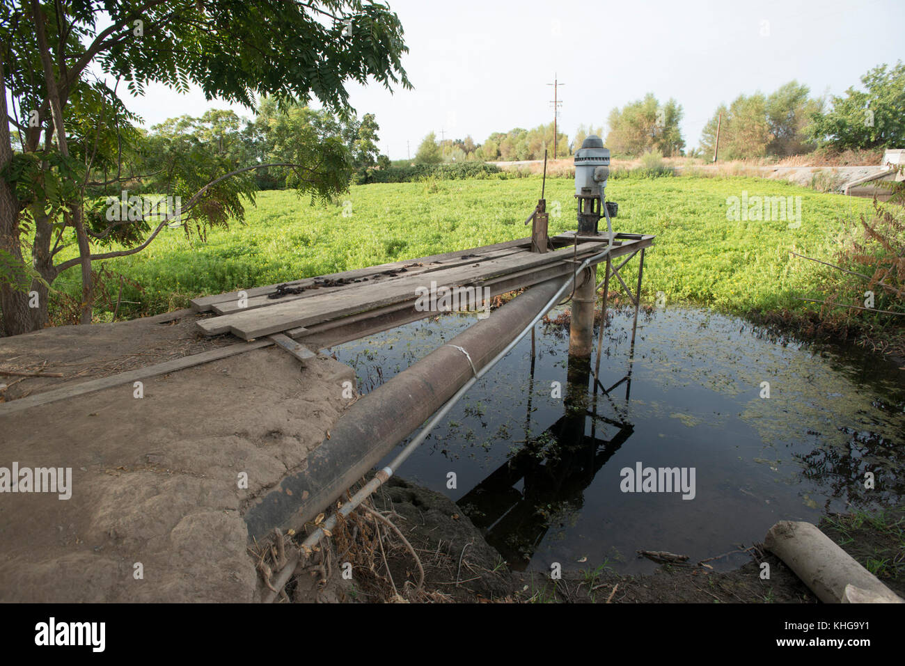 Questa pompa per acqua di superficie a Gilsizer Slough non può essere utilizzata quest'anno a causa delle condizioni critiche di siccità a Yuba City, CA, Venerdì, 28 agosto 2015. La pompa normalmente aspirava acqua dalla tosse per l'irrigazione agricola, ma sempre meno acqua è stata prelevata negli ultimi quattro anni. Ora, non si può aspirare acqua. Un pozzo (vicino) è stato perforato per disegnare acqua macinata dalla falda acquifera sottostante. Il flusso d'acqua viene erogato a questo e ad altri campi tramite tubi sotterranei, valvole di controllo e canali superficiali. Altri campi che utilizzano il Gilsizer Slough sono stati aiutati dal Dipartimento degli Stati Uniti DI A. Foto Stock