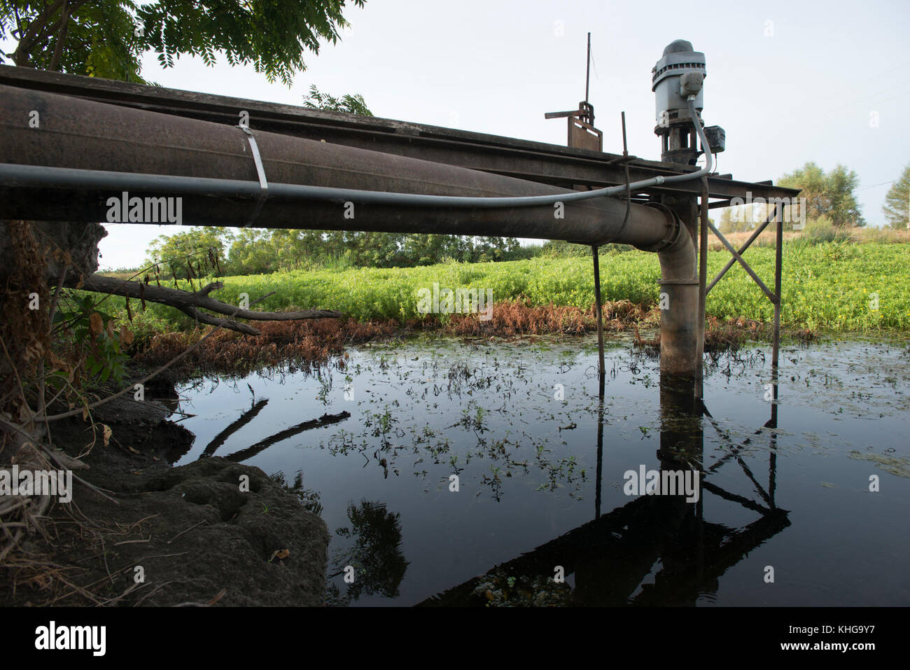Questa pompa per acqua di superficie a Gilsizer Slough non può essere utilizzata quest'anno a causa delle condizioni critiche di siccità a Yuba City, CA, Venerdì, 28 agosto 2015. La pompa normalmente aspirava acqua dalla tosse per l'irrigazione agricola, ma sempre meno acqua è stata prelevata negli ultimi quattro anni. Ora, non si può aspirare acqua. Un pozzo (vicino) è stato perforato per disegnare acqua macinata dalla falda acquifera sottostante. Il flusso d'acqua viene erogato a questo e ad altri campi tramite tubi sotterranei, valvole di controllo e canali superficiali. Altri campi che utilizzano il Gilsizer Slough sono stati aiutati dal Dipartimento degli Stati Uniti DI A. Foto Stock