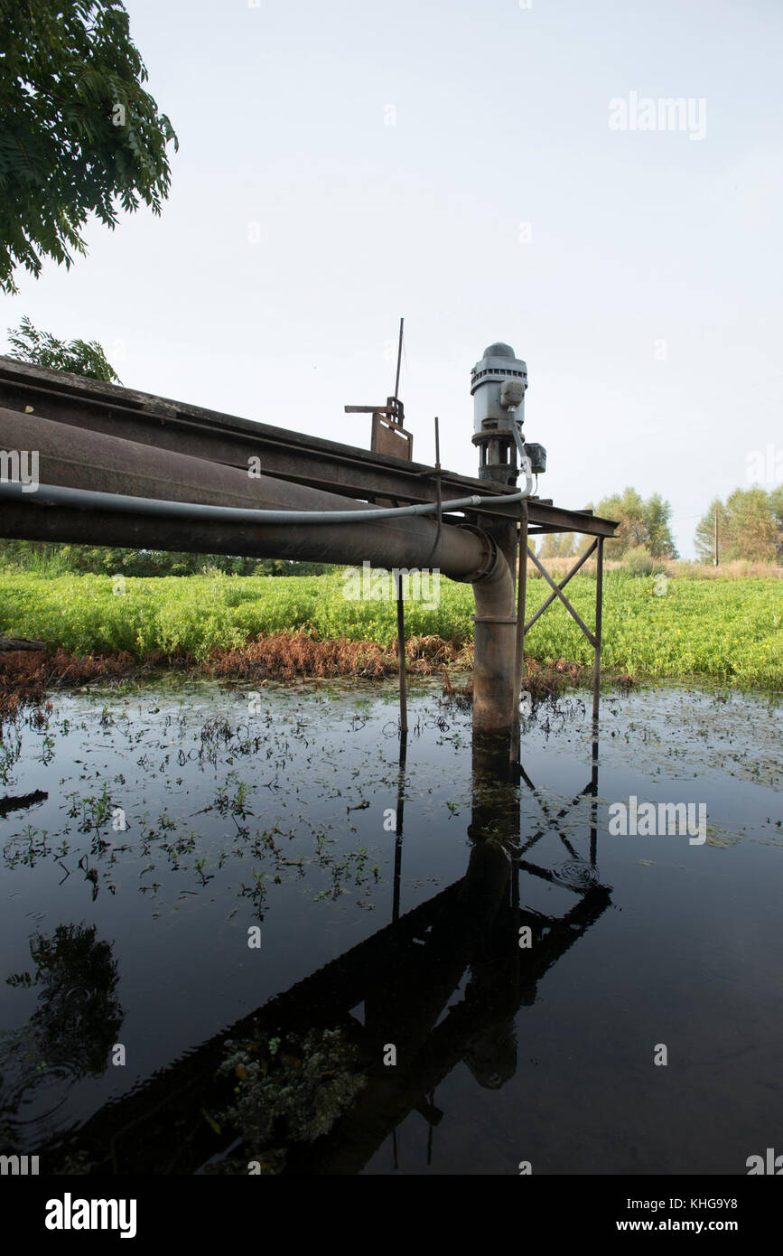 Questa pompa per acqua di superficie a Gilsizer Slough non può essere utilizzata quest'anno a causa delle condizioni critiche di siccità a Yuba City, CA, Venerdì, 28 agosto 2015. La pompa normalmente aspirava acqua dalla tosse per l'irrigazione agricola, ma sempre meno acqua è stata prelevata negli ultimi quattro anni. Ora, non si può aspirare acqua. Un pozzo (vicino) è stato perforato per disegnare acqua macinata dalla falda acquifera sottostante. Il flusso d'acqua viene erogato a questo e ad altri campi tramite tubi sotterranei, valvole di controllo e canali superficiali. Altri campi che utilizzano il Gilsizer Slough sono stati aiutati dal Dipartimento degli Stati Uniti DI A. Foto Stock