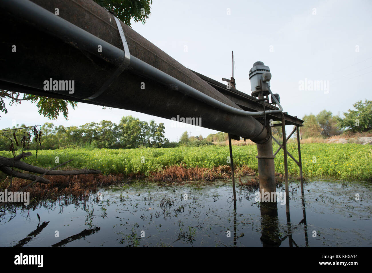 Questa pompa per acqua di superficie a Gilsizer Slough non può essere utilizzata quest'anno a causa delle condizioni critiche di siccità a Yuba City, CA, Venerdì, 28 agosto 2015. La pompa normalmente aspirava acqua dalla tosse per l'irrigazione agricola, ma sempre meno acqua è stata prelevata negli ultimi quattro anni. Ora, non si può aspirare acqua. Un pozzo (vicino) è stato perforato per disegnare acqua macinata dalla falda acquifera sottostante. Il flusso d'acqua viene erogato a questo e ad altri campi tramite tubi sotterranei, valvole di controllo e canali superficiali. Altri campi che utilizzano il Gilsizer Slough sono stati aiutati dal Dipartimento degli Stati Uniti DI A. Foto Stock