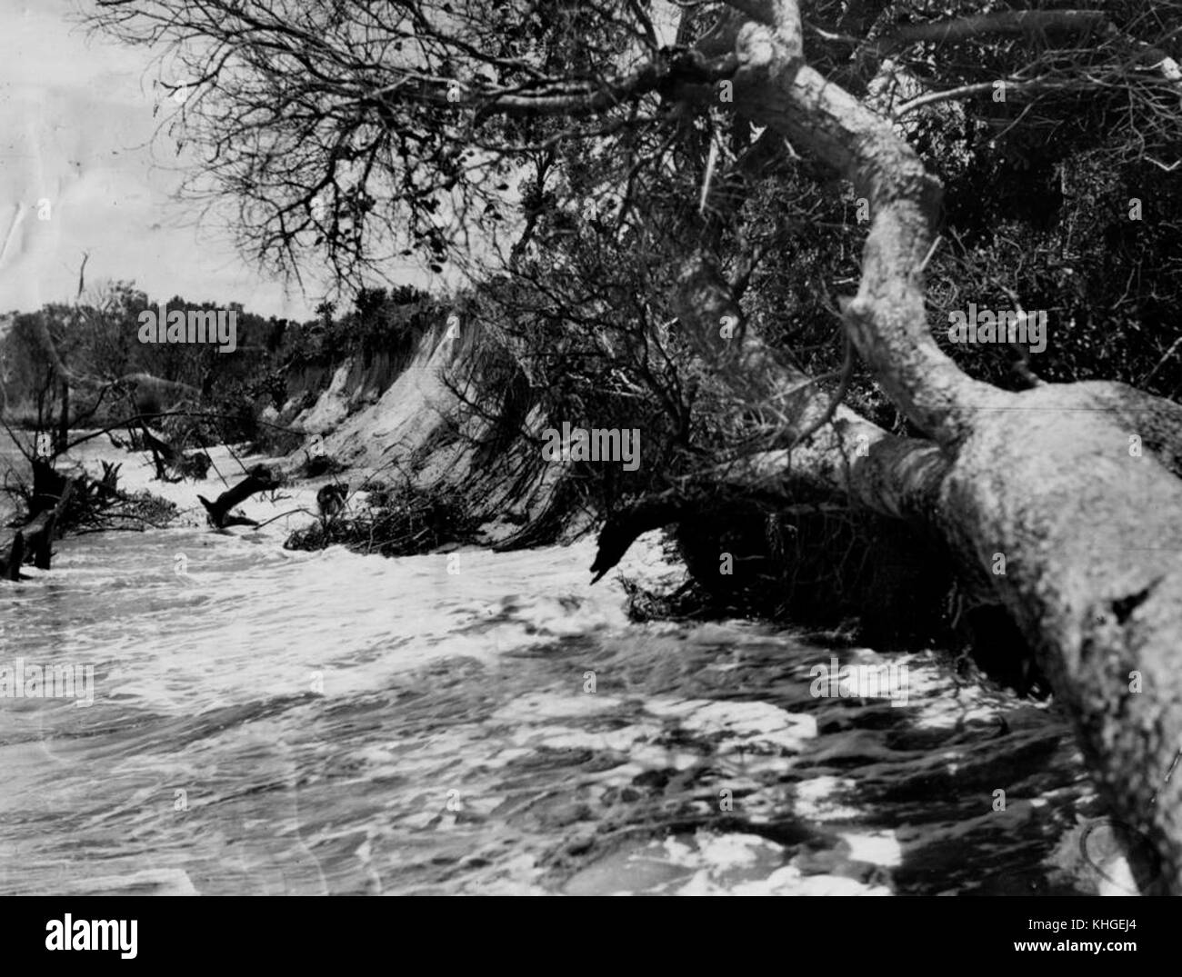 2 14022 erosione alla foreshore a South Stradbroke Island, 1937 Foto Stock