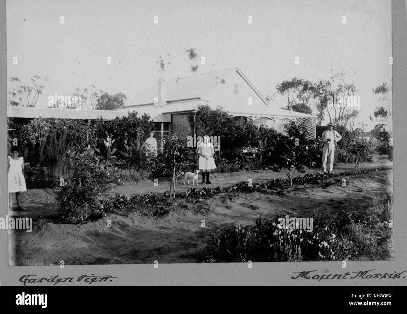 2 122930 Giardino e homestead sul Monte Morris stazione nel distretto di Charleville, 1902-1904 Foto Stock