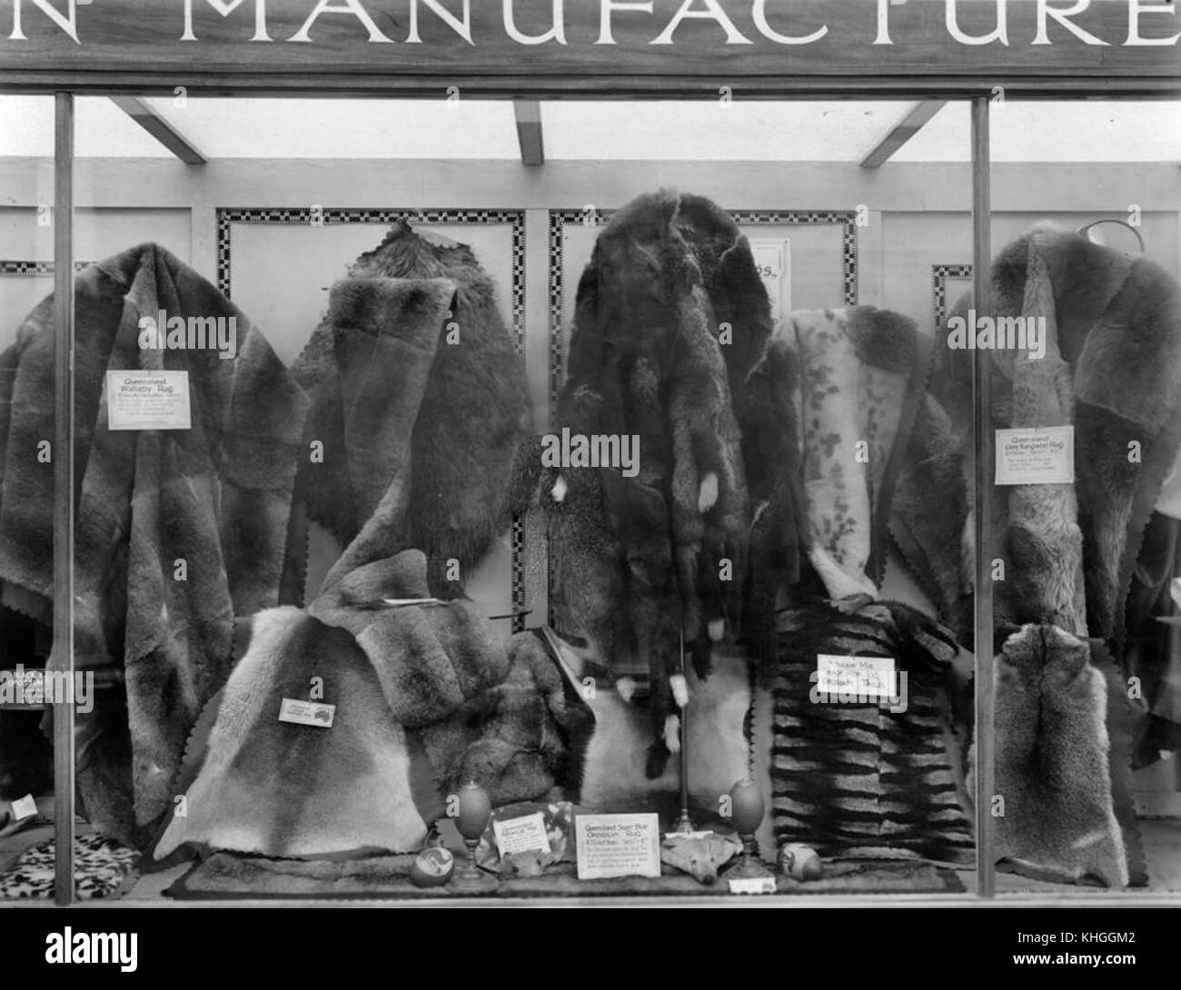 Questa fotografia della British Empire Exhibition del 1924 mostra un'esposizione di pellicce animali australiane. Riflette il ruolo dell’Australia nel commercio delle pellicce e il suo contributo al commercio globale durante il periodo. Foto Stock