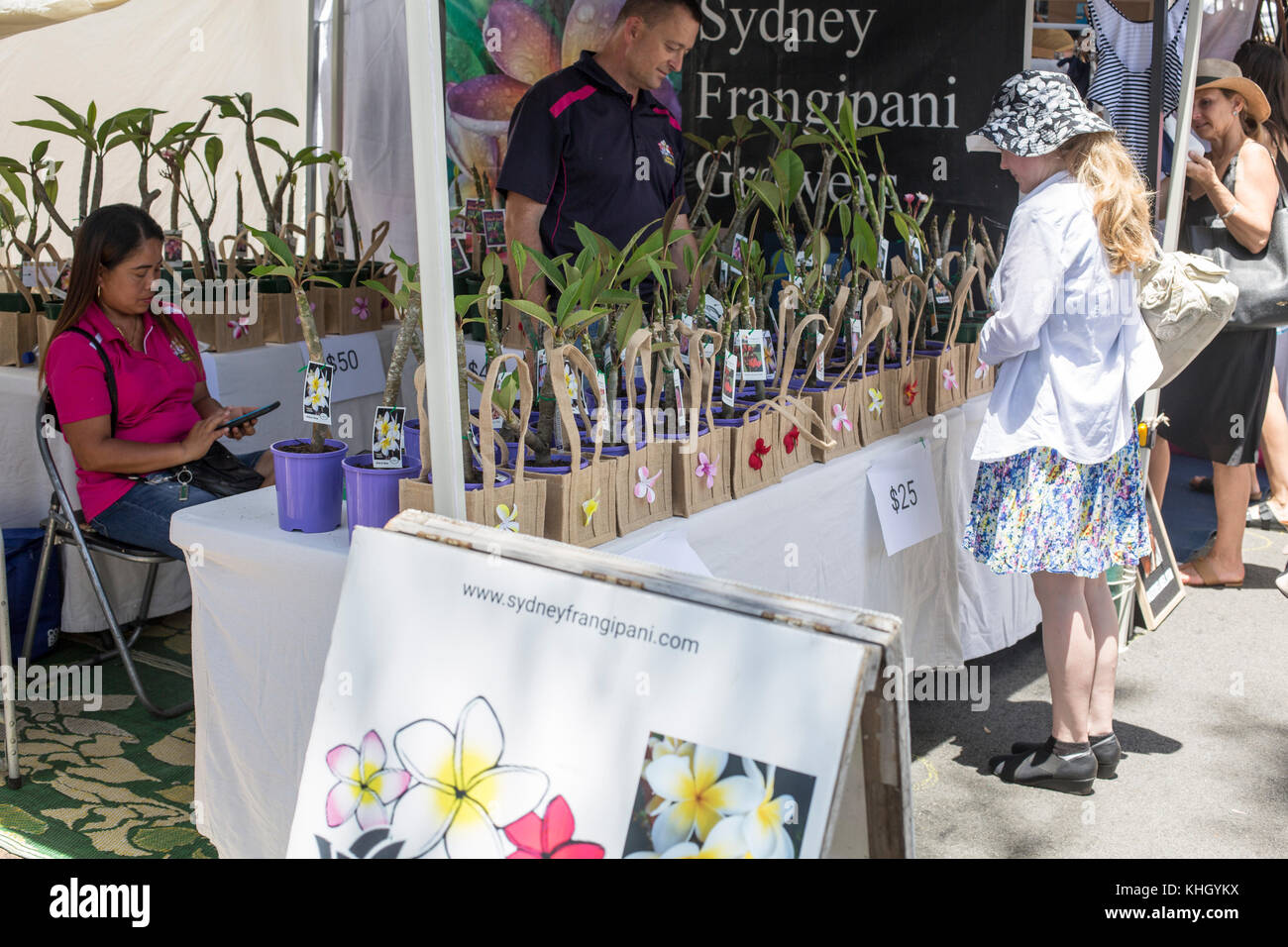 Avalon Beach, Sydney, domenica 19 novembre 2017. La comunità annuale giorno di mercato a Avalon Beach offre oltre 400 bancarelle che vendono artigianato, abbigliamento, gioielli, arte e doni. Credito: martin berry/Alamy Live News Foto Stock