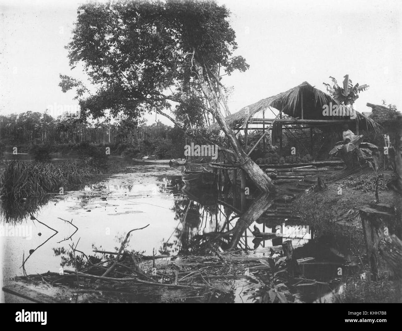 1 395121 banana cinese store sparso sulla banca del fiume Tully, Tully, ca. 1910 Foto Stock