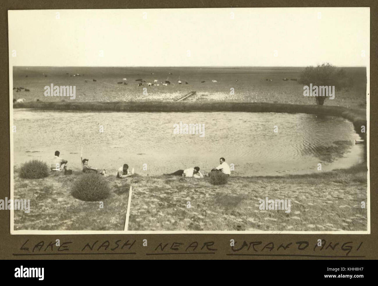 2 256946 rilassante dalla waterhole vicino Urandangi, Maggio 1932 Foto Stock