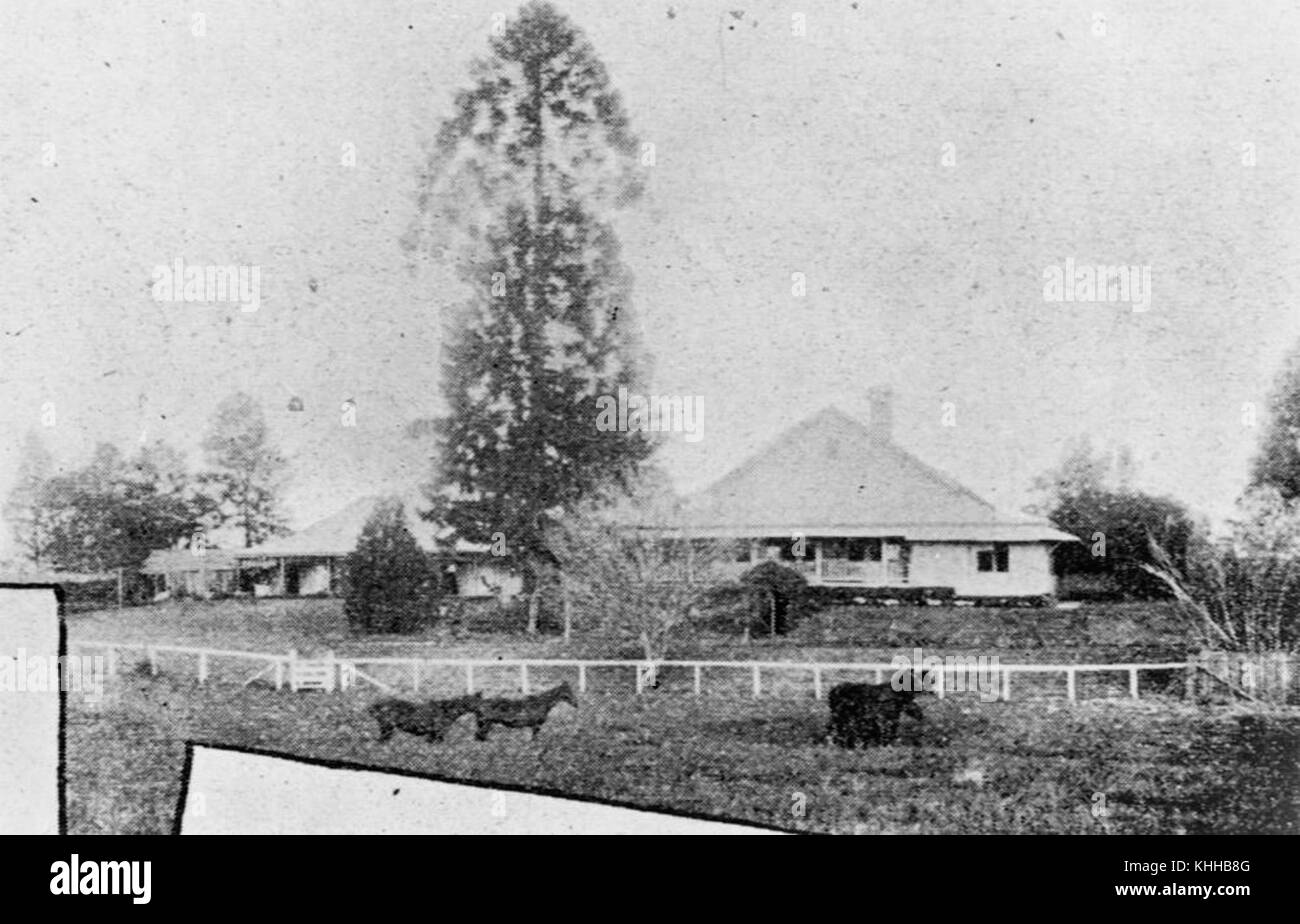 1 47532 Cressbrook Station con i cavalli nel paddock di fronte Foto Stock