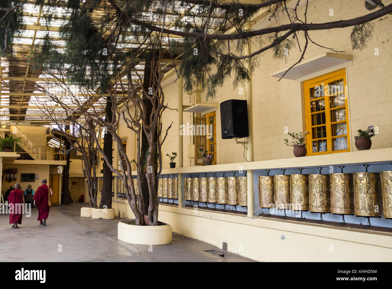 Ruote di preghiera, complesso di Tsuglagkhang, Mcleod Ganj, India Foto Stock