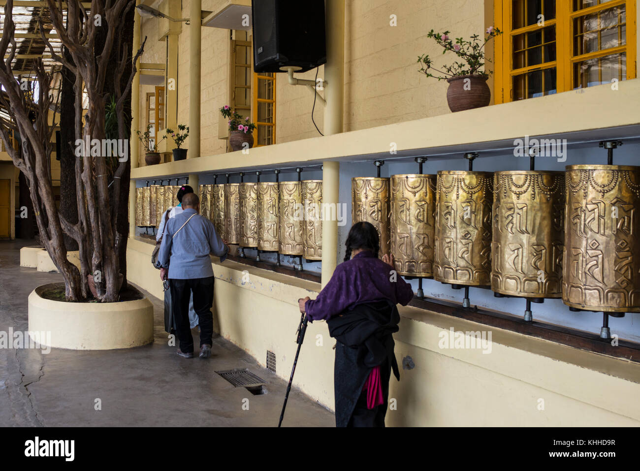 Ruote di preghiera, complesso di Tsuglagkhang, Mcleod Ganj, India Foto Stock