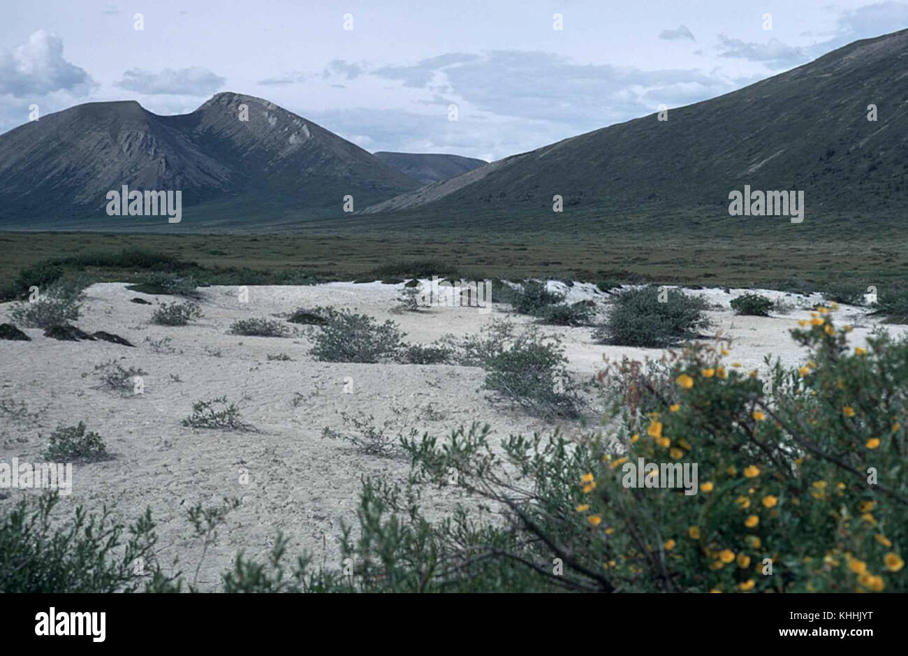 Ciò si riferisce a un fenomeno geologico in cui il suolo saturo d'acqua presenta un elevato livello di fluidità durante il movimento, un processo spesso associato a frane o flussi di fango, che mostra la natura dinamica di alcuni terreni in condizioni di umidità. Foto Stock