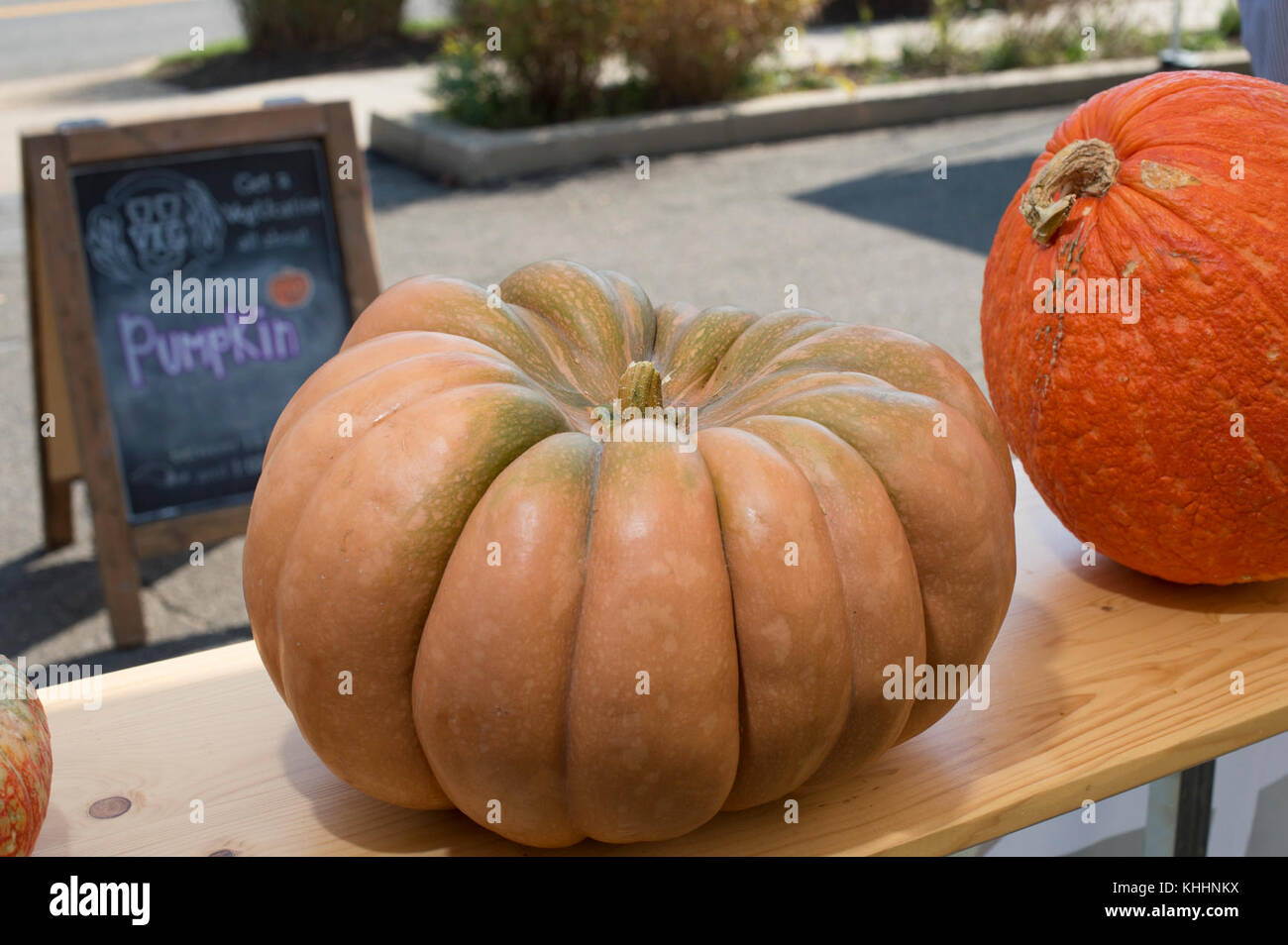 La zucca fiabesca piatta e con scanalatura arancione e la zucca Warty Red Thing con superficie profonda e ruvida presso il Dipartimento dell'Agricoltura degli Stati Uniti (USDA) Farmers Market â(cation)âVegU tenda, dove la gente impara come raccogliere, e conservare le zucche; E preparare una zuppa di curry utilizzando prodotti coltivati nella zona locale e venduti qui nel centro di Washington, D.C., venerdì 21 ottobre 2016. I dipendenti USDA del Servizio di marketing agricolo (AMS), del Servizio di alimentazione e nutrizione (FNS), del Servizio di ispezione e sicurezza alimentare (FSIS) e dei fornitori si offrono come educatori vegetali, o âVegUcatorsâ che conducono gratuitamente Foto Stock