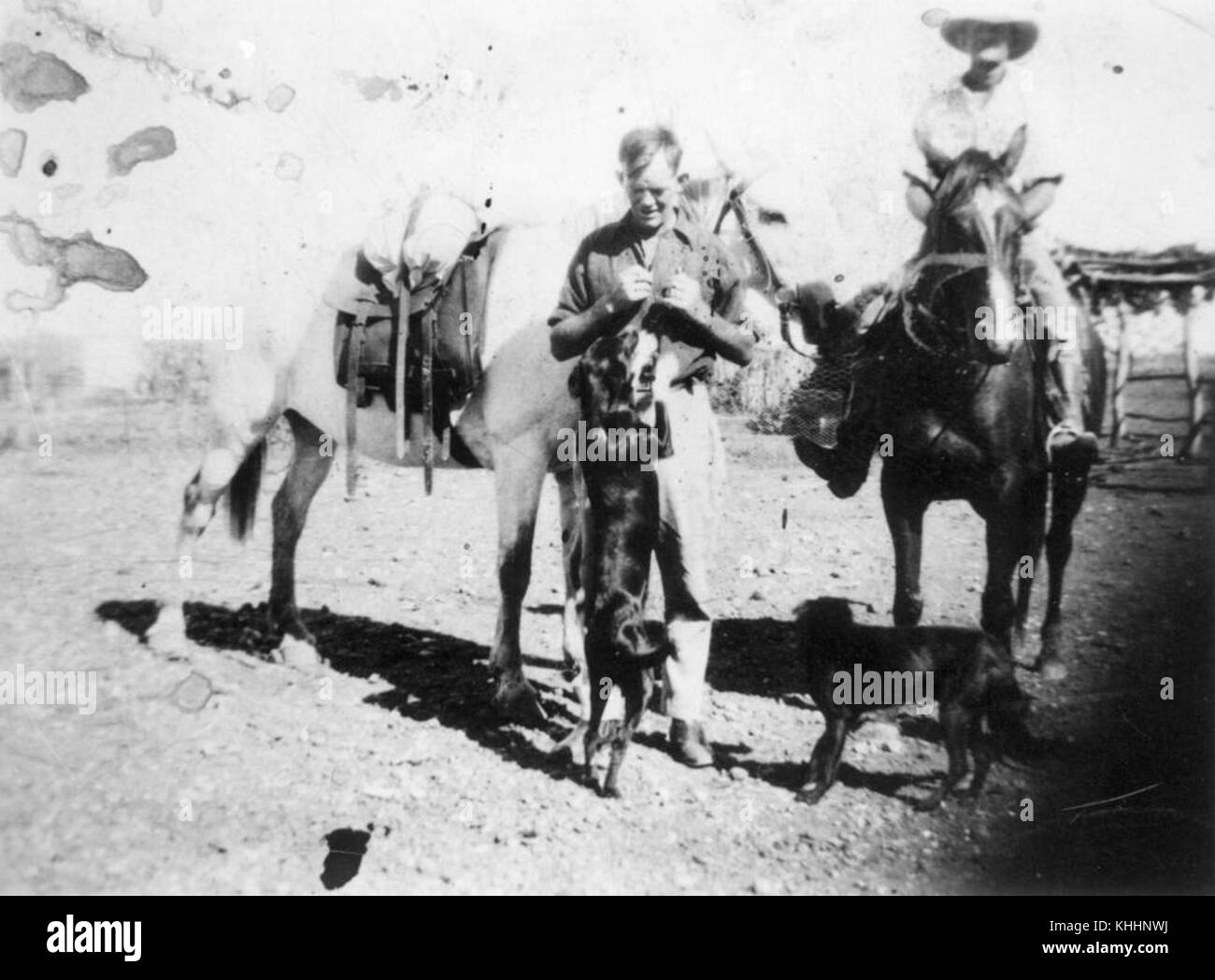 2 138328 Jim Kidd saluto uno dei cani di Mayfield Stazione, Windorah, Queensland, 1933 Foto Stock