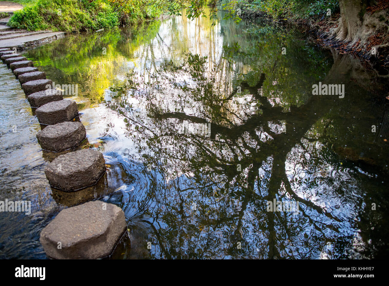 The Stepping Stones nel fiume Mole Box Hill Surrey Regno Unito Foto Stock