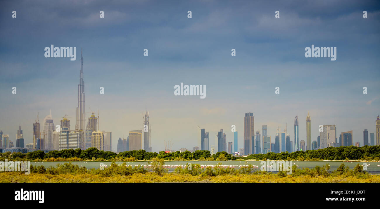 Vista di dubai skyline del centro da Ras Al Khor Wildlife Sanctuary Foto Stock