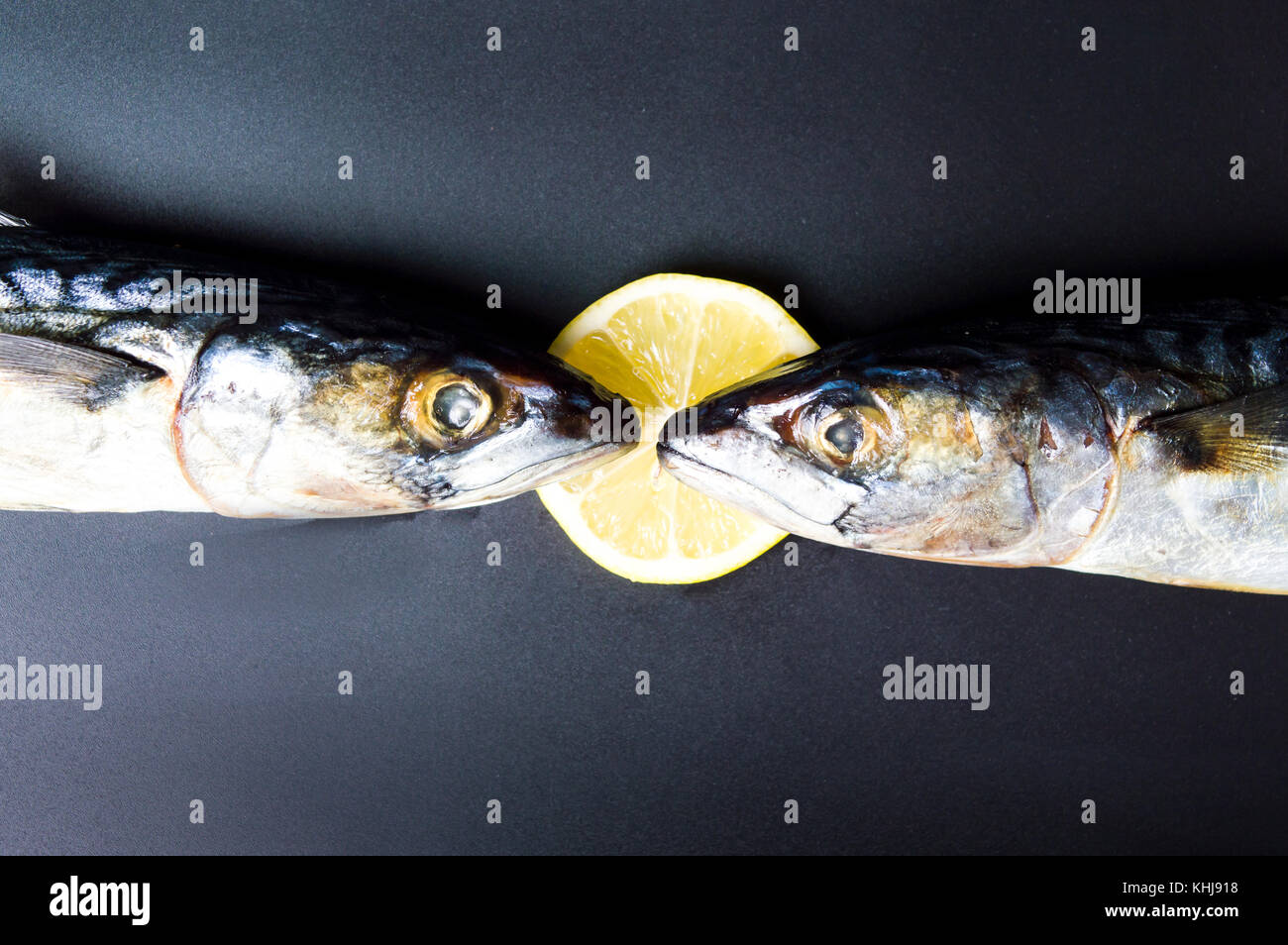 Materie sgombro pesce limone e chiudere fino Foto Stock