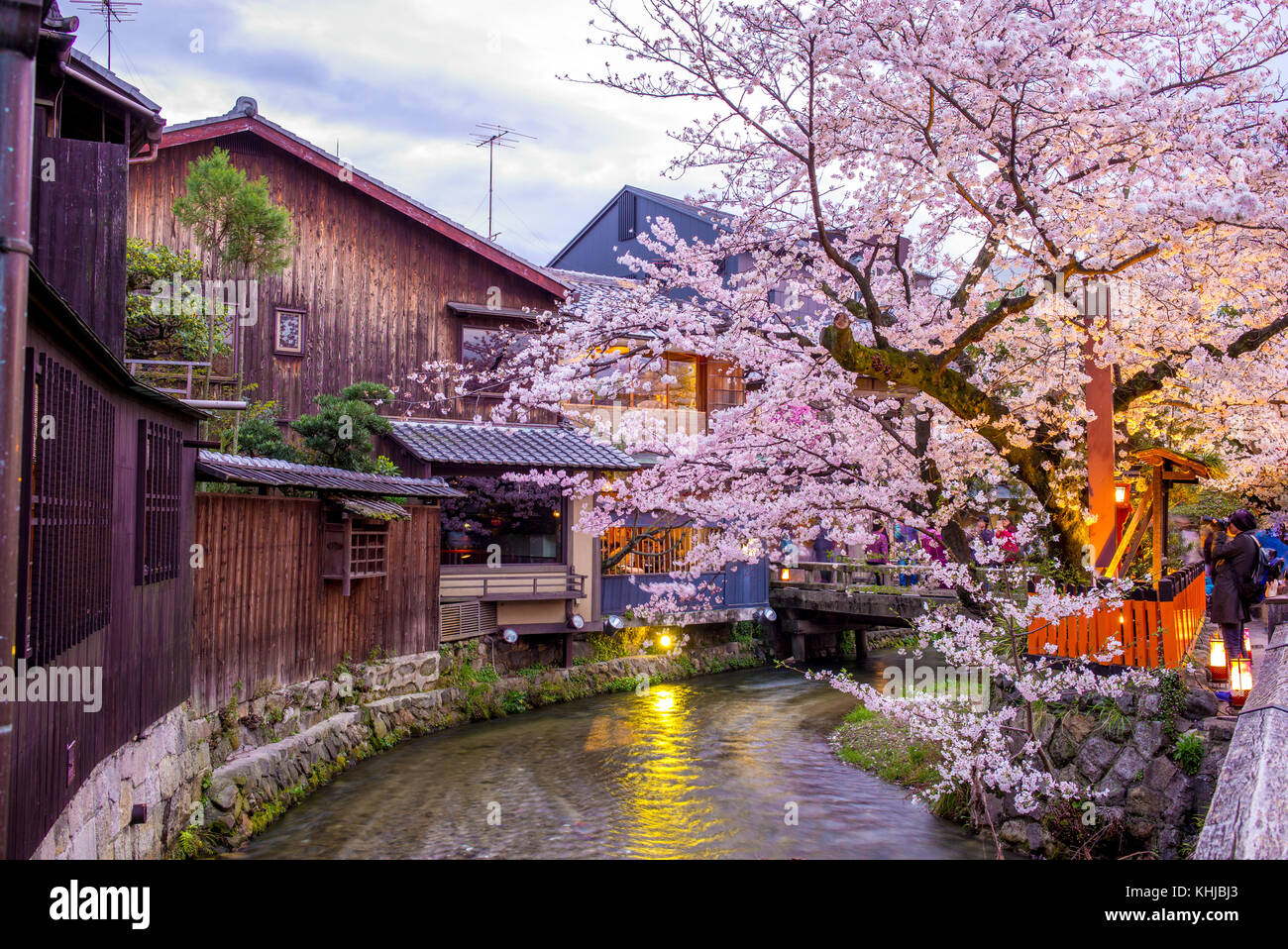 Vista notturna di fiume shirakawa nel quartiere di Gion con fiore di ciliegio Foto Stock