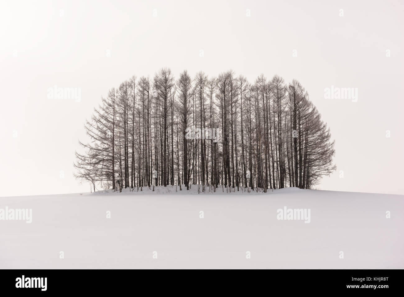 Biei,, Giappone campagna in inverno. Foto Stock
