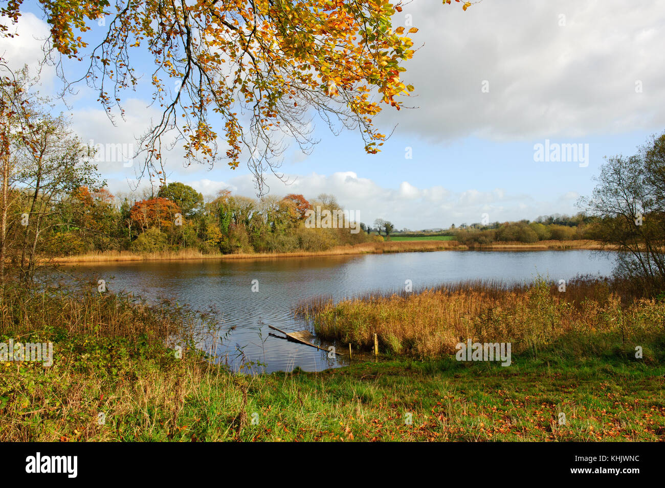 Bella stagione autunnale di castle saunderson, Irlanda Foto Stock
