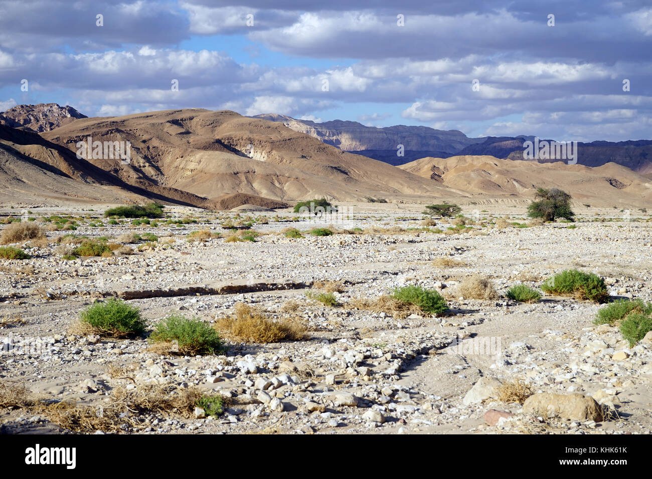 Riverbed secco nel deserto del Negev in Israele Foto Stock