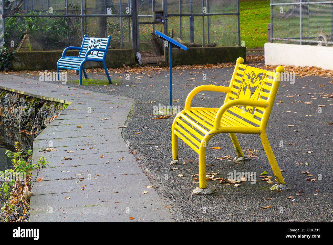Una coppia di coloratissimi banchi del parco in Ward park a Bangor County Down in Irlanda del Nord Foto Stock