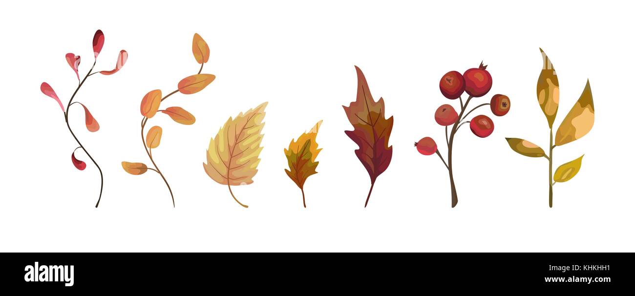 Vector autunno stile acquerello disegnato a mano designer stagionali element set di giallo arancio, rosso forest erbe, foglie di albero. Saluto cartolina, banner, de Illustrazione Vettoriale