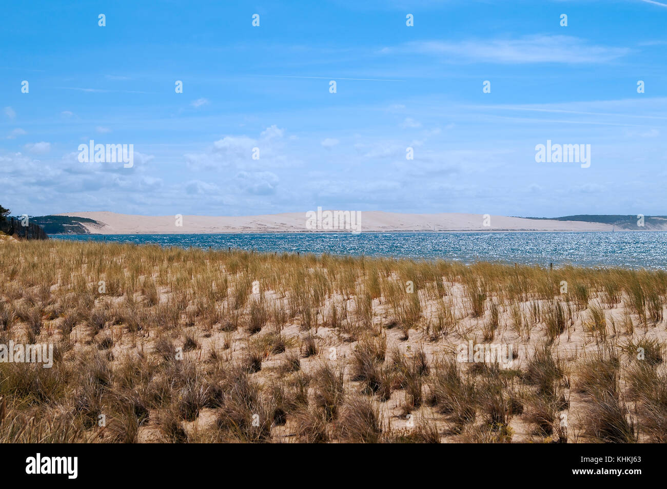 Vista la Dune du Pilat dal cap ferret in Francia. estate 2013 Foto Stock