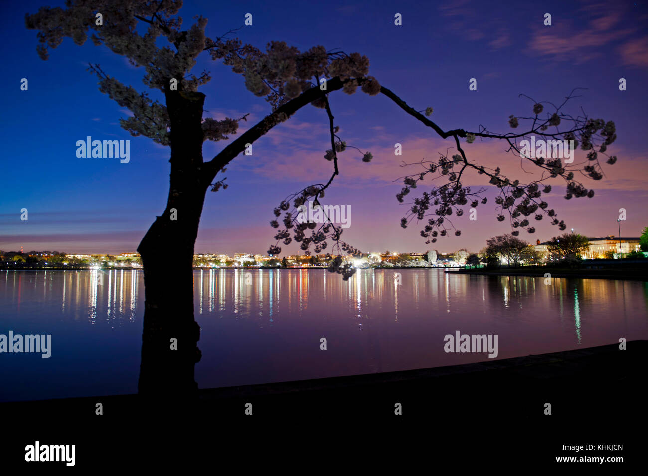 Paesaggio con viola e blu cielo al crepuscolo. Foto Stock