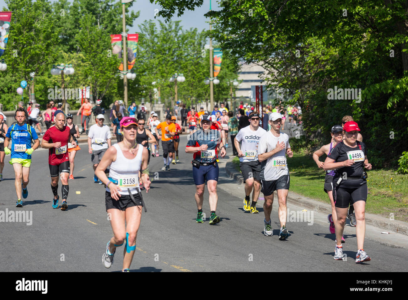 Guide di scorrimento in corrispondenza della Maratona di Ottawa Foto Stock