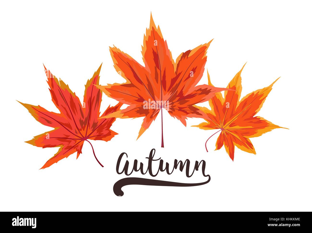 Vector autunno stile acquerello stagionale design con tratte giallo arancio, rosso caduta di acero canadese albero di foresta foglie. Saluto cartolina, banner d Illustrazione Vettoriale