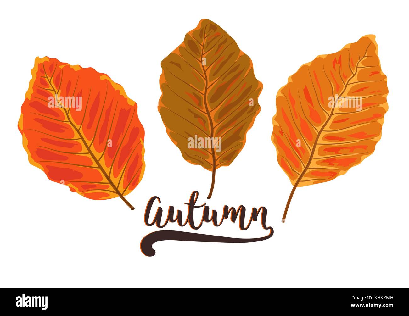 Vector autunno stile acquerello stagionale design con tratte giallo arancione rosso marrone caduta ontano foresta bellezza foglie. Saluto cartolina, banner Illustrazione Vettoriale