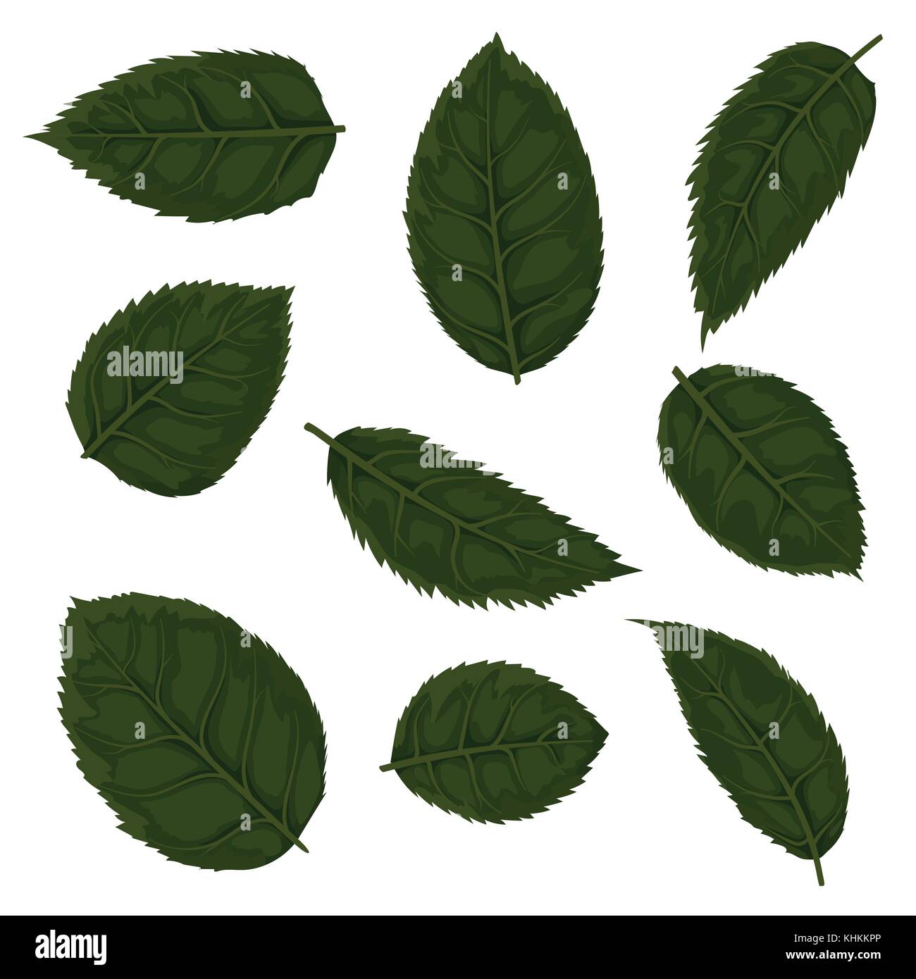 Vettore stile acquerello rose fiore verde foglie verde fogliame disegnati a mano oggetto foglia, elemento raccolta. saluto, banner, decorativo des naturale Illustrazione Vettoriale