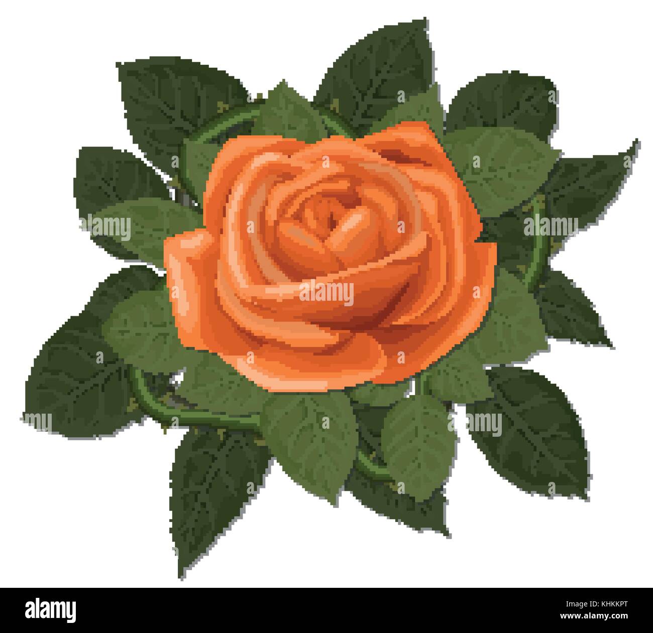 Vettore floreali ad acquerello rose fiore di arancia con foglie verde fogliame verde disegnata a mano designer oggetto elemento bouquet. saluto, banner, decorativ Illustrazione Vettoriale