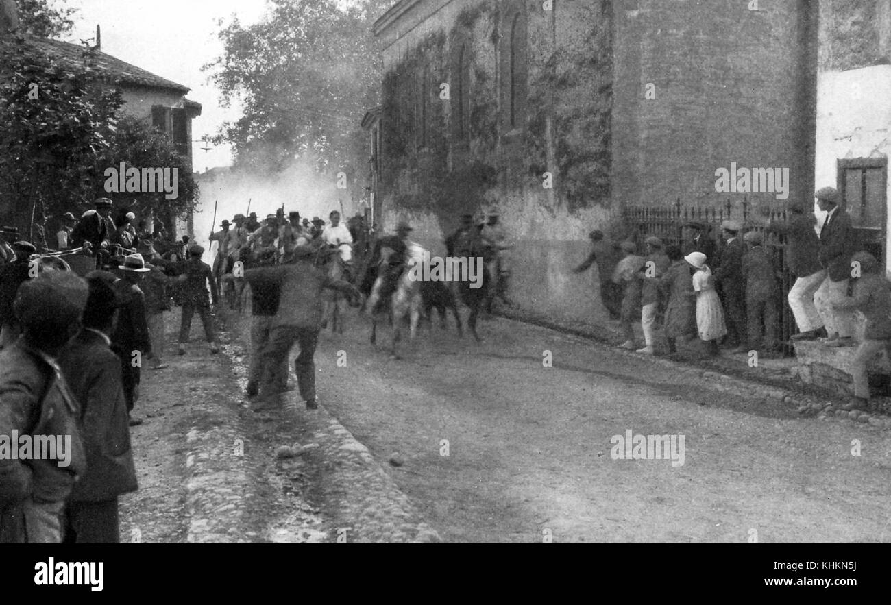 Una fotografia di uomini a cavallo che cercano di dirigere i tori lungo la strada, li portano alla corrida, le persone che fiancheggiano la strada cercano di distrarli e farli spargere come parte dei festeggiamenti, Camargue, Francia, luglio 1922. Foto Stock
