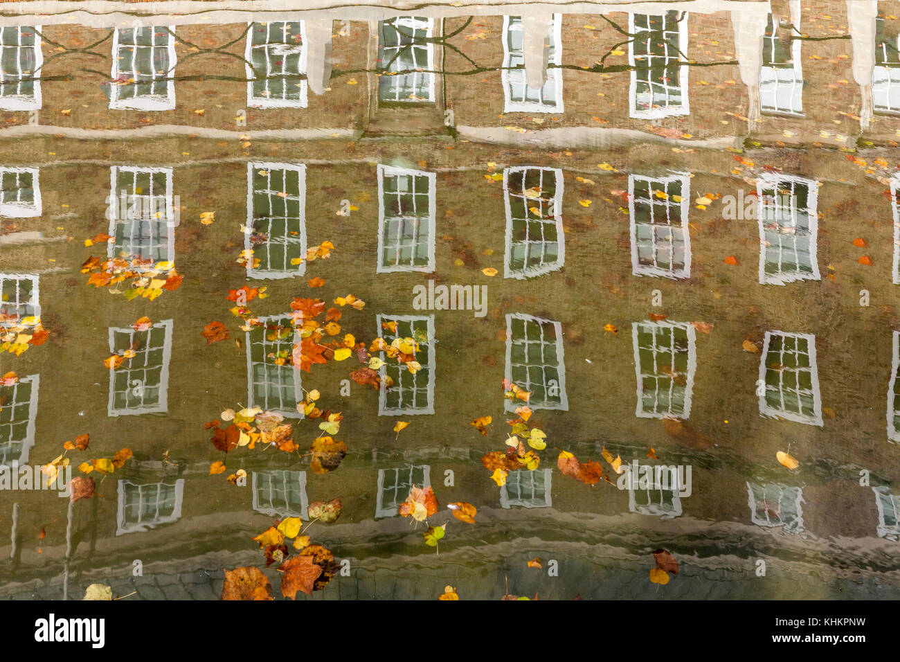 Le finestre del bristol city hall si riflette nel fossato acqua, con russet, oro, marrone e giallo foglie galleggianti sulla sommità. bristol, West England. Foto Stock