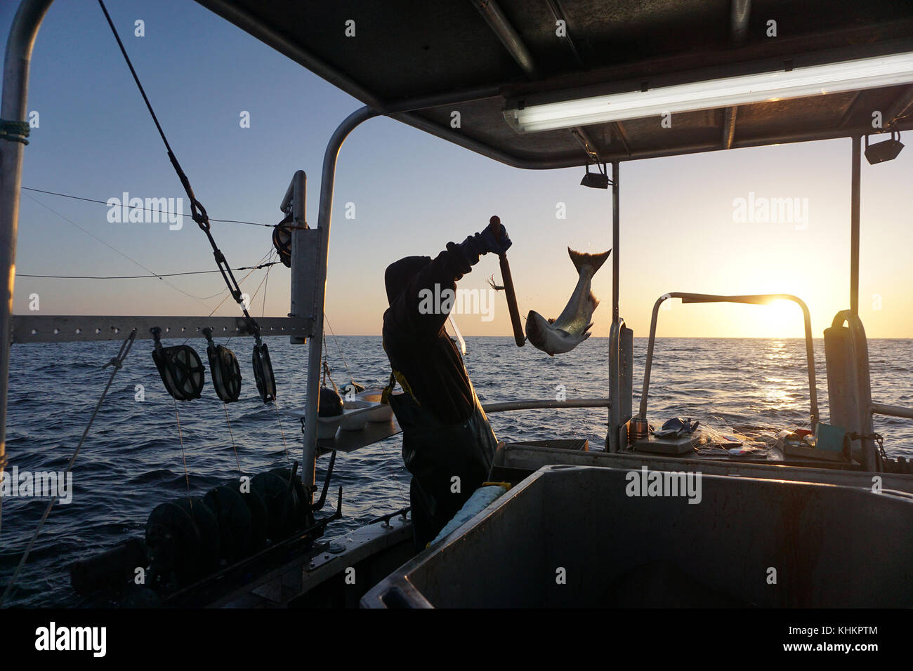 Pescatore di salmoni in azione - West Coast, BC Foto Stock