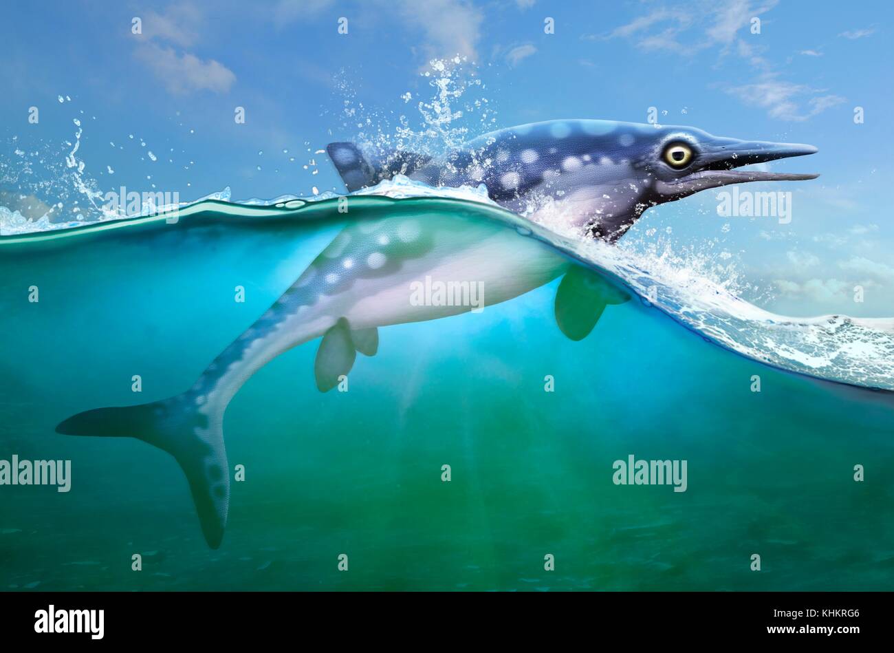 Illustrazione di Opthalmosaurus, un British rettile marino che dalla fine del giurassico (165 a 150 milioni di anni fa). Apparteneva al gruppo ichthyosaur, che erano simili ai delfini con lunghi corpi semplificata, snouts lungo e potente code. Essi hanno anche avuto enormi occhi (il nome ophthalmosaurus significa 'occhio rettile') permettendo loro di cacciare i calamari e pesce a grande profondità. Sono stati Ichthyosaurs (vivipara diede i natali a vivere i giovani). Foto Stock