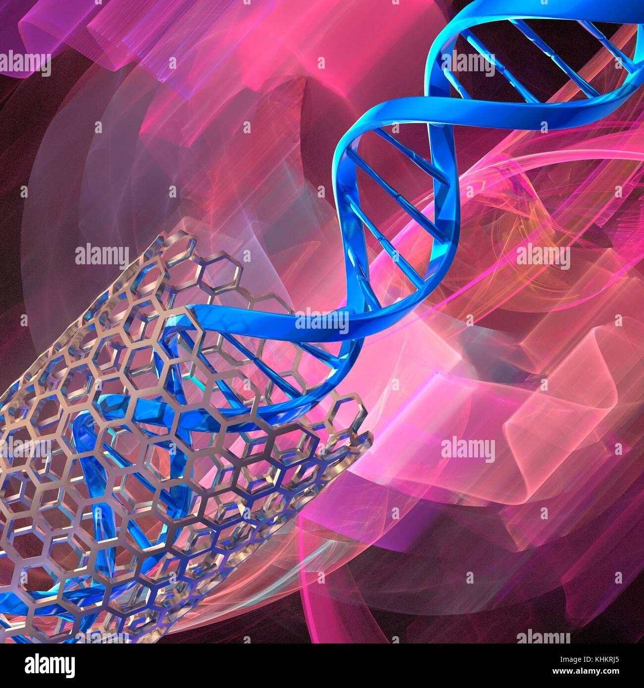 Illustrazione concettuale di un doppio filamento di DNA (acido desossiribonucleico) molecola proveniente al di fuori di un nanotubo (non in scala). Il DNA è composto da due trefoli intrecciati in una doppia elica. Ciascun filamento è costituito da uno zucchero-ossatura di fosfato attaccata alle basi nucleotidiche. Ci sono quattro basi: adenina, citosina, guanina e timina. Le basi sono uniti tra di loro da legami idrogeno. Il DNA contiene sezioni chiamati geni che codificano il corpo di informazioni genetiche. Foto Stock