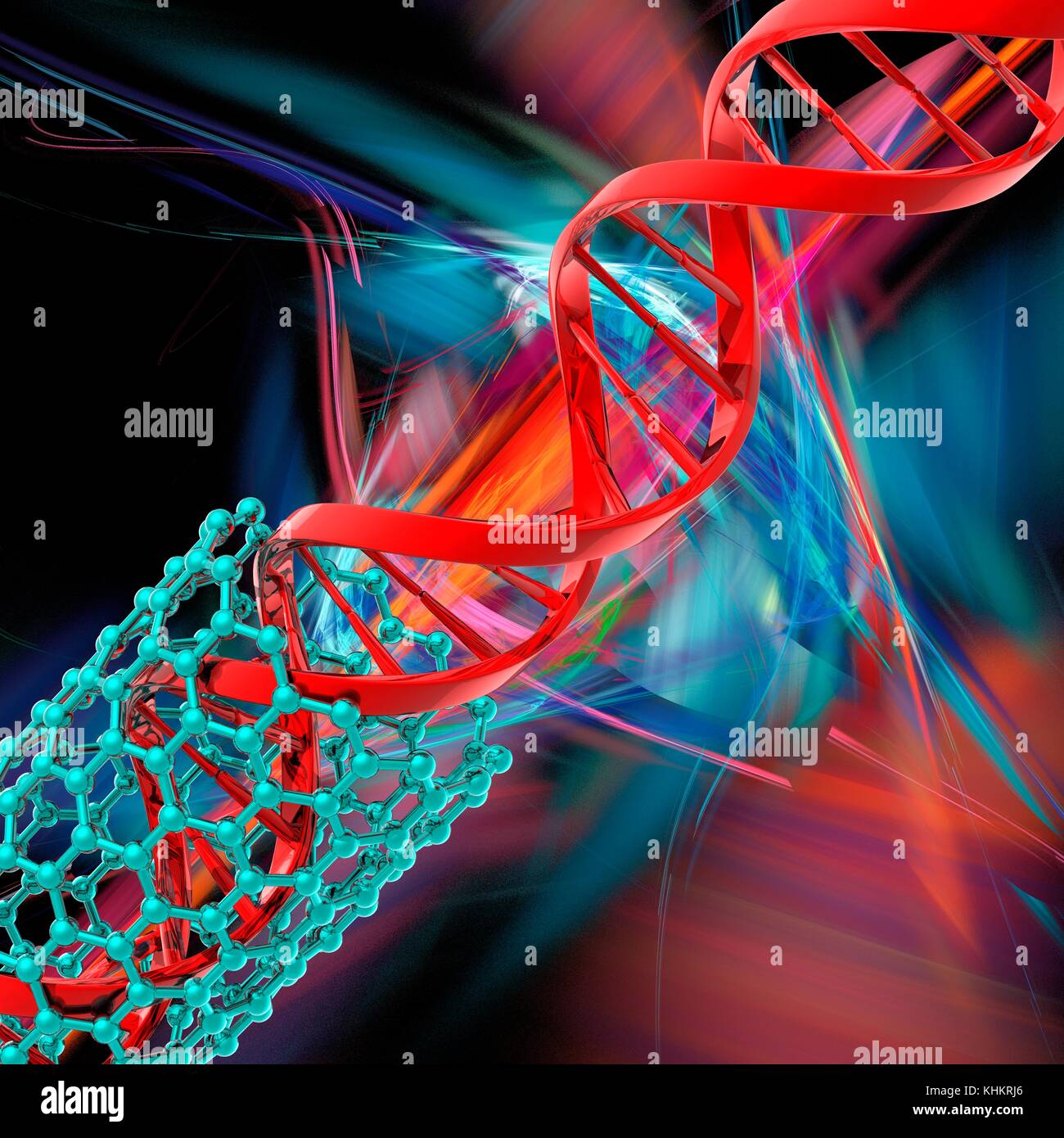 Illustrazione concettuale di un doppio filamento di DNA (acido desossiribonucleico) molecola proveniente al di fuori di un nanotubo (non in scala). Il DNA è composto da due trefoli intrecciati in una doppia elica. Ciascun filamento è costituito da uno zucchero-ossatura di fosfato attaccata alle basi nucleotidiche. Ci sono quattro basi: adenina, citosina, guanina e timina. Le basi sono uniti tra di loro da legami idrogeno. Il DNA contiene sezioni chiamati geni che codificano il corpo di informazioni genetiche. Foto Stock