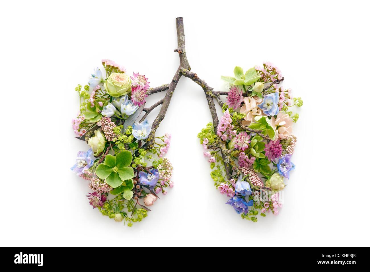 Fiori di Primavera che rappresentano i polmoni umani, concettuale studio shot. Foto Stock
