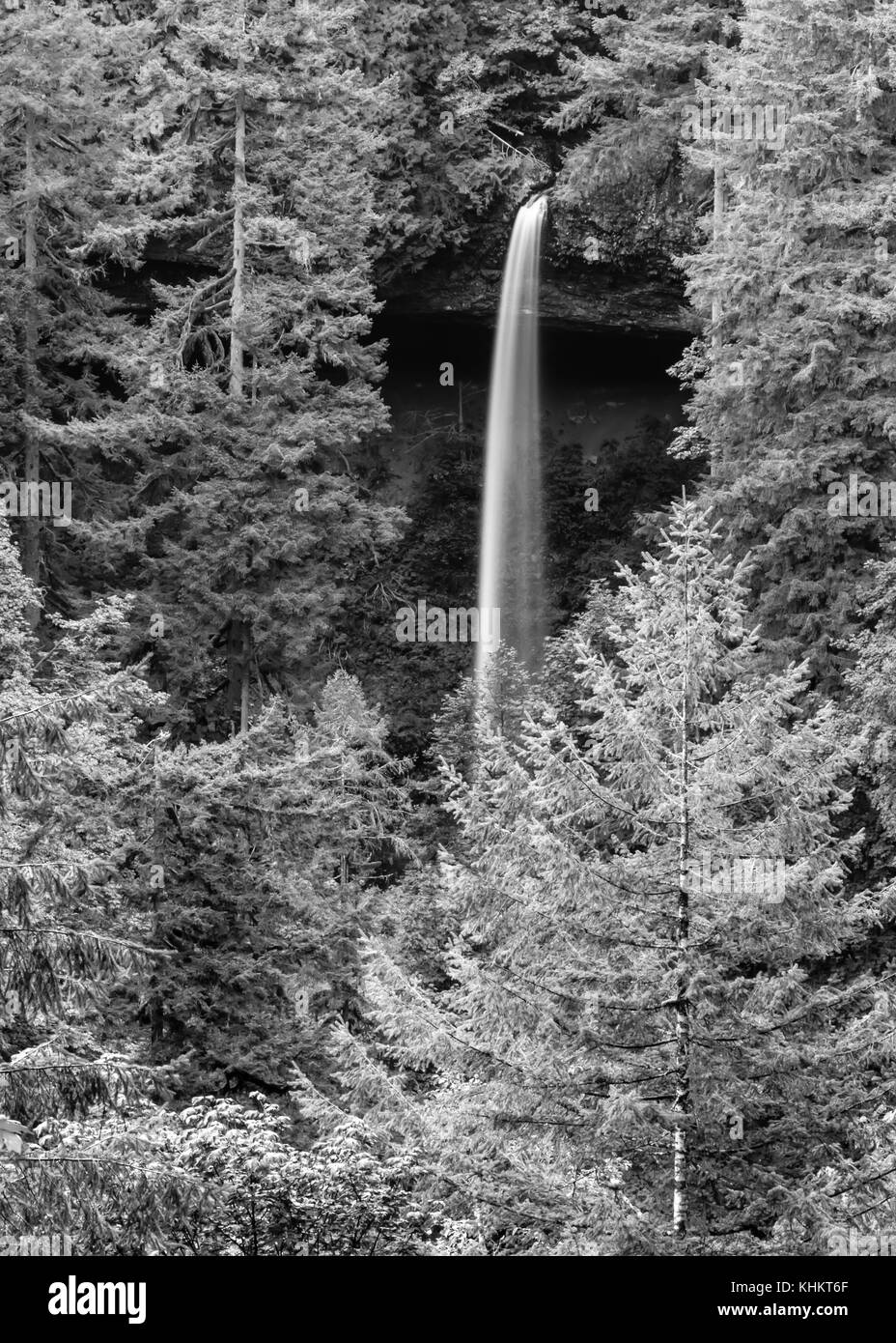 Silver Falls State Park spolverato di neve Foto Stock
