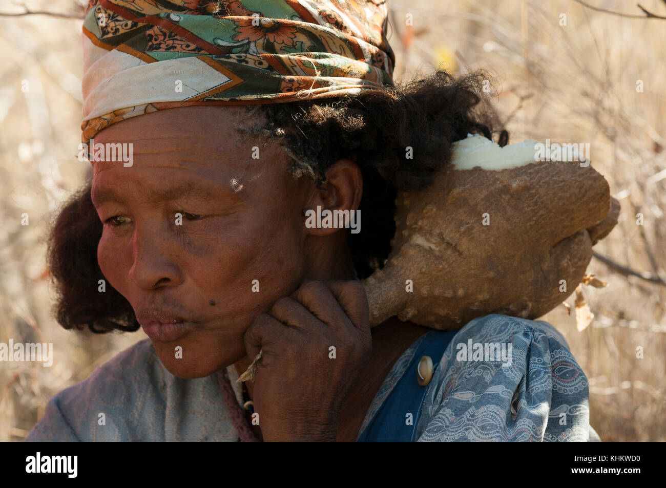 Dei Boscimani del Kalahari (donna) e tubero Foto Stock