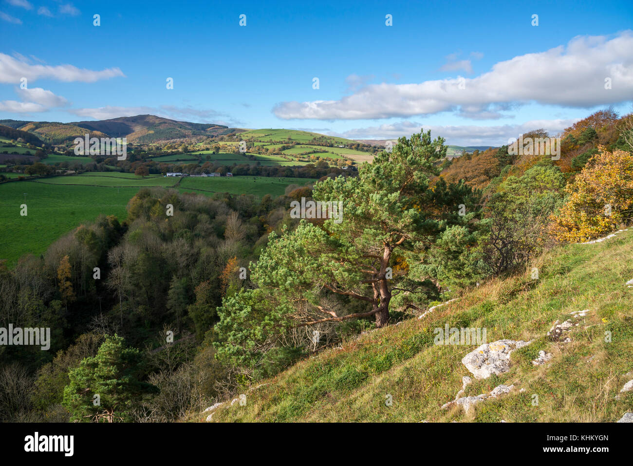 Paesaggio autunnale al parco di campagna di Loggerheads, Mold, Galles del Nord. Splendida vista verso Moel Famau. Foto Stock