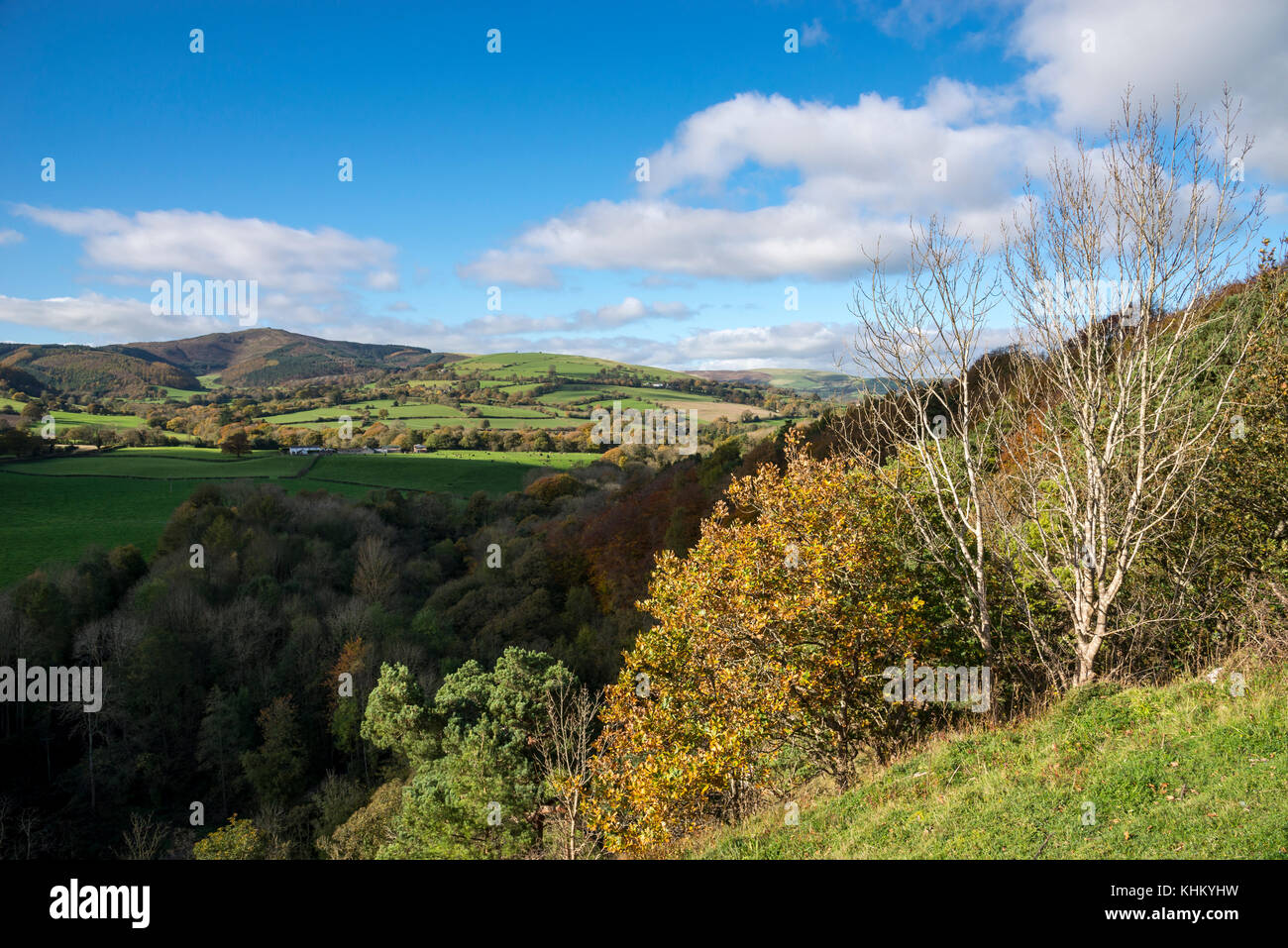 Paesaggio autunnale al parco di campagna di Loggerheads, Mold, Galles del Nord. Splendida vista verso Moel Famau. Foto Stock