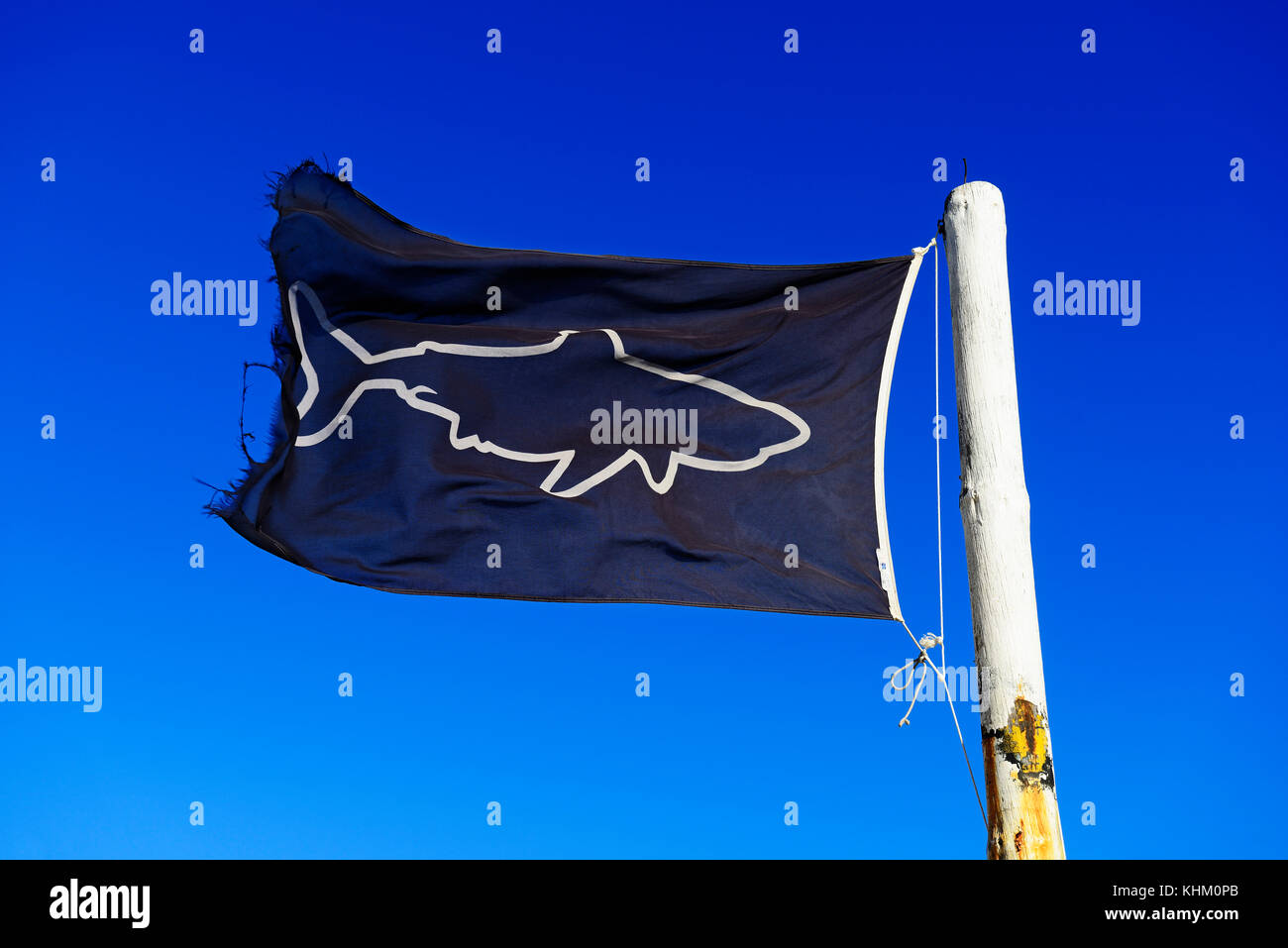 La bandiera blu con shark shark avvertimento, Shark-spotter-warner-flag, muizenberg false bay, West Cape, Sud Africa Foto Stock