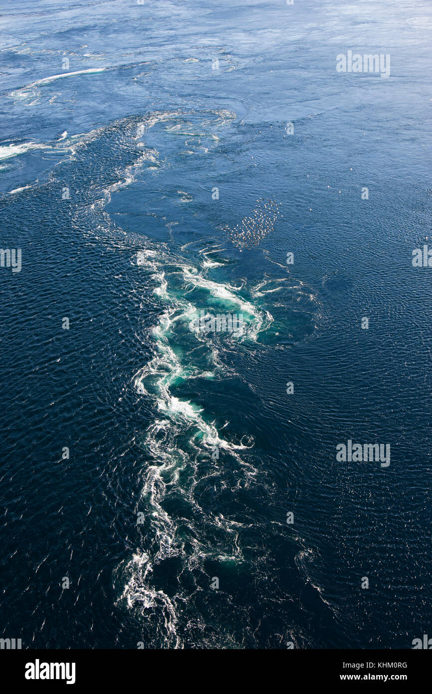 Enormi vasche idromassaggio in acqua, sale di trauma, più forte corrente di marea nel mondo, vicino Bodo, provincia del Nordland, Norvegia Foto Stock