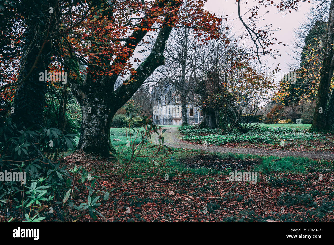 Blarney casa baronale scozzese mansion disegnato da John lanyon a Blarney Castle. Foto Stock