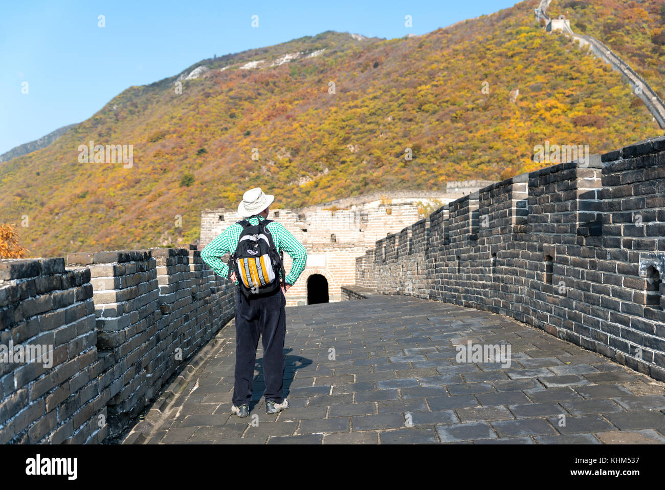 Uomo turistica da dietro alla ricerca in vista della Grande Muraglia a Mutianyu famosa attrazione turistica durante i viaggi di vacanza in Pechino. asia autunno ho Foto Stock