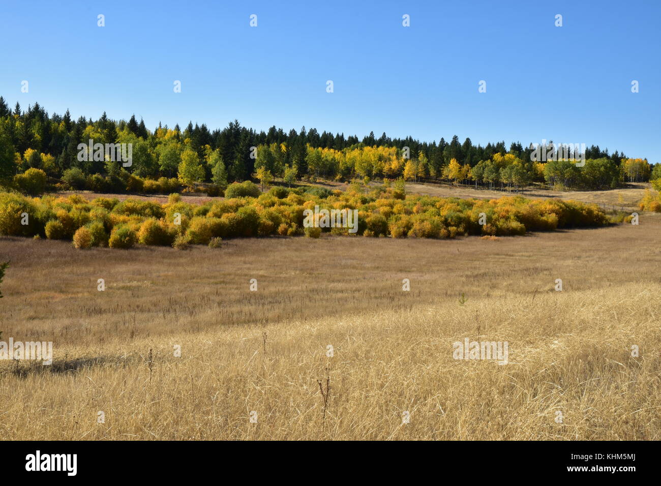 Pascoli di caduta Foto Stock