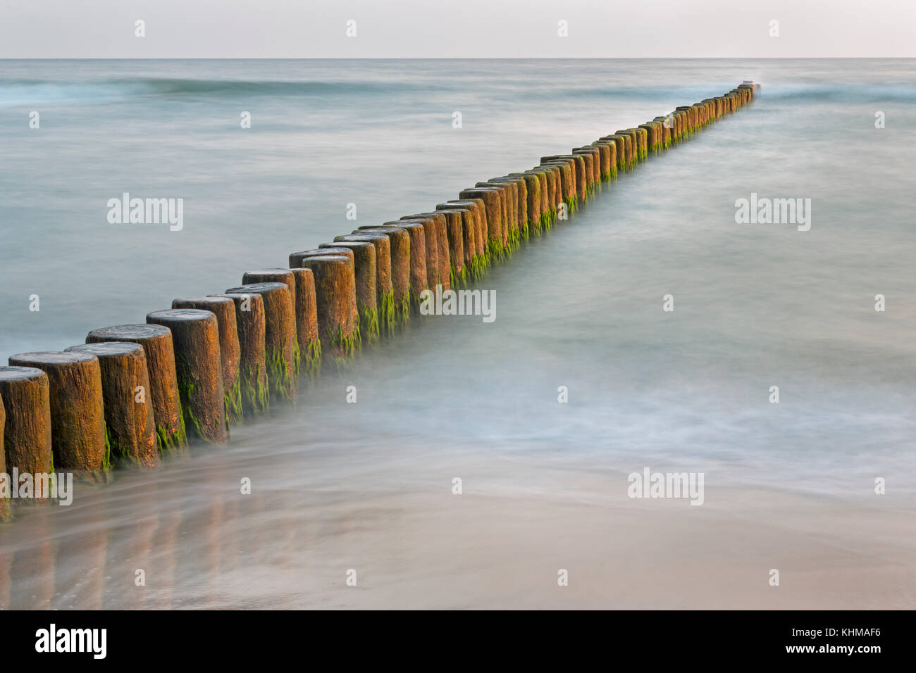 Pennelli sulla costa baltica, mecklenburg-west pomerania, fishland-darß-Zingst, Germania, Europa Foto Stock