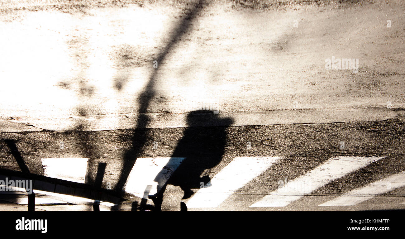 Sfocata zebra incrocio con silhouette e ombra di una donna che cammina nel freddo e soleggiato autunno in bianco e nero , capovolto Foto Stock